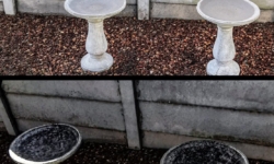 Details Image
