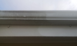 Details Image