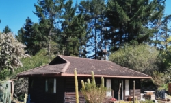 Details Image
